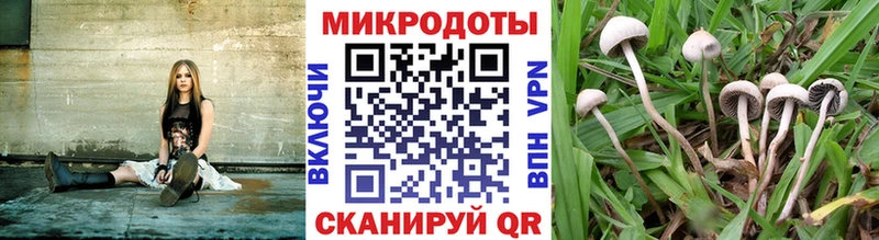 где можно купить наркотик Белинский Псилоцибиновые грибы Magic Shrooms